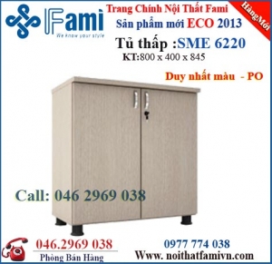 Tủ mẫu mới ECO SME 6220