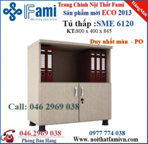 Tủ mẫu mới ECO SME 6120