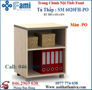 Tủ tài liệu SM6020FH