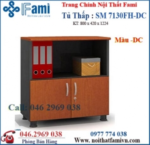 Tủ tài liệu SM7130FH - Màu DC