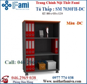 Tủ tài liệu SM7030FH-DC