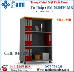 Tủ tài liệu SM7030FH-MB
