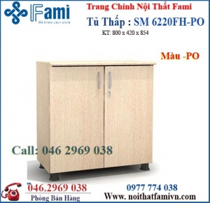 Tủ tài liệu SM6220FH